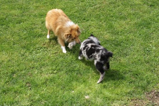 merly und sky 10